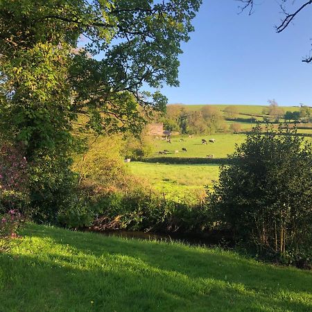 Bed and Breakfast Bow Mill Farm Totnes Esterno foto