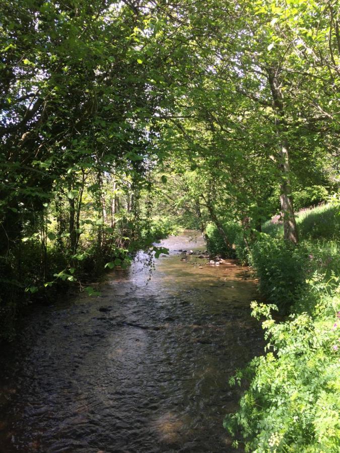 Bed and Breakfast Bow Mill Farm Totnes Esterno foto