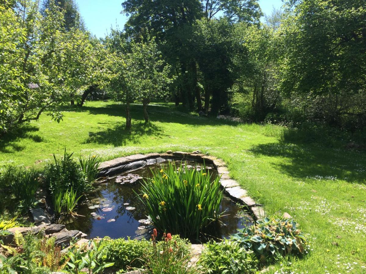 Bed and Breakfast Bow Mill Farm Totnes Esterno foto