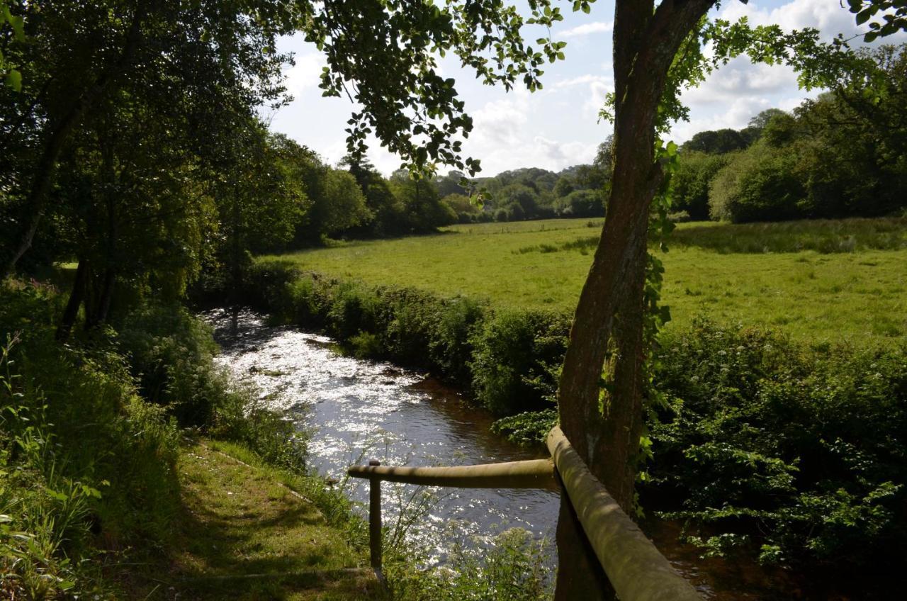 Bed and Breakfast Bow Mill Farm Totnes Esterno foto