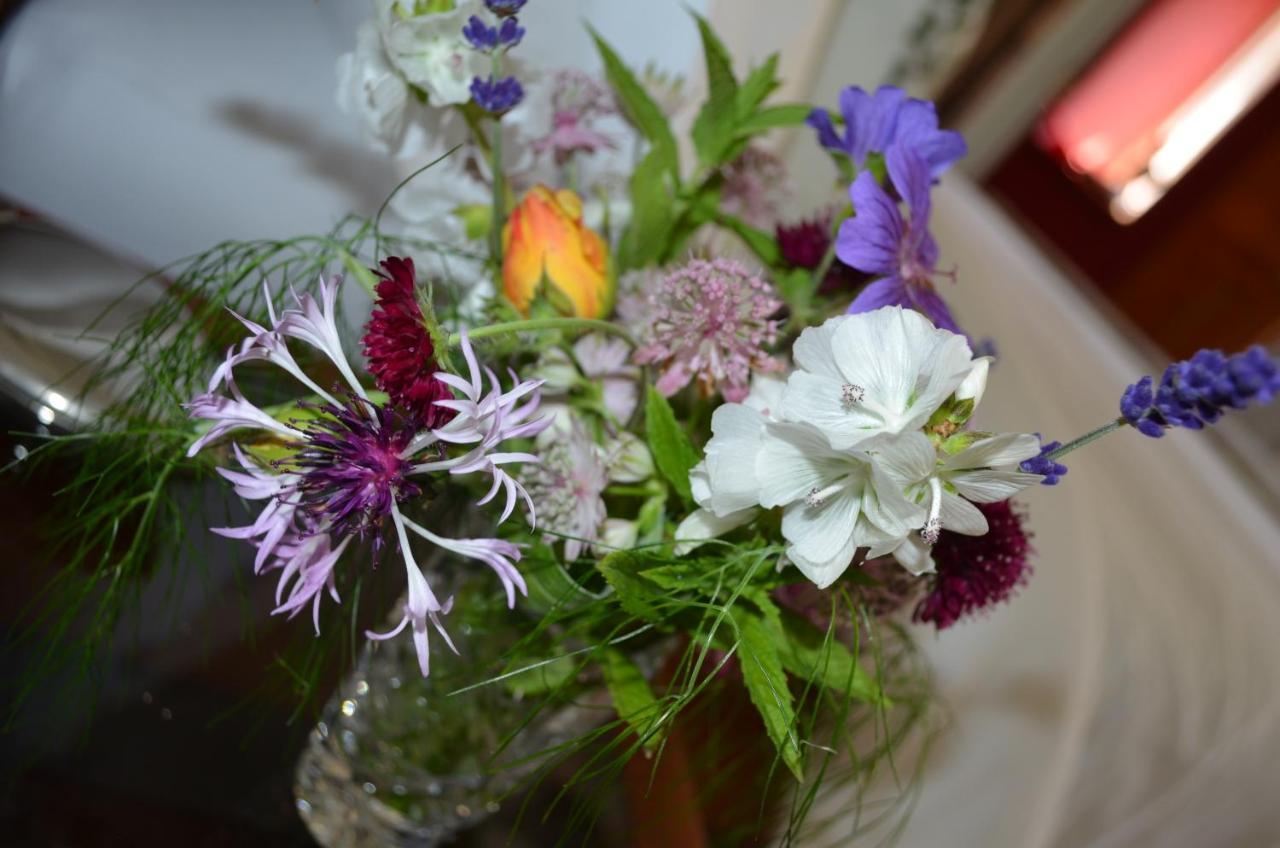 Bed and Breakfast Bow Mill Farm Totnes Esterno foto